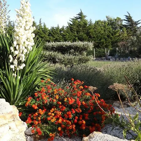 Le Petit Colombier Guest house *